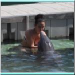 dolphins015.jpg