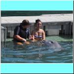 dolphins019.jpg