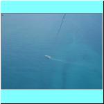 parasailing014.jpg
