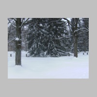 snow-04.jpg