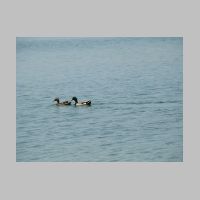 lochraven-05.jpg