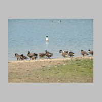 lochraven-14.jpg