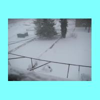 feb-snow051.jpg