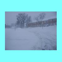 feb-snow059.jpg