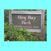 hogbay-051.jpg